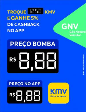 BA KMV GNV Vinil 0.10mm Aplicado em Poliondas 3mm 100x130cm 4x0  Corte Reto 